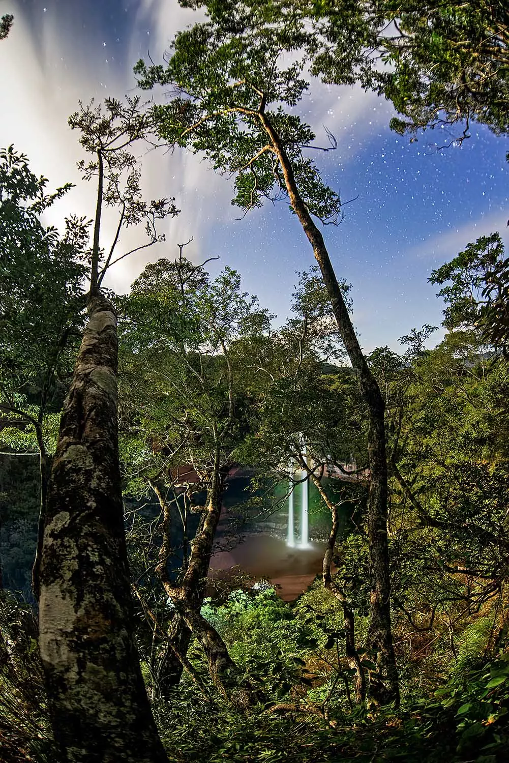 Rige cobro para visitar el Jardín de las Delicias - Periodismo de medio  ambiente y turismo de Bolivia